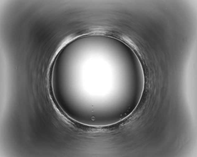 X0000085731475200703160954