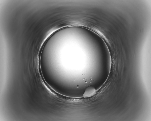 X0000085731476200703160954