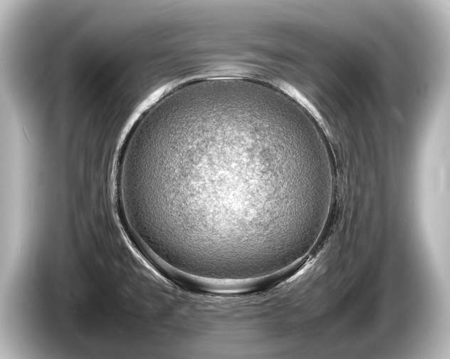 X0000085731477200703160954