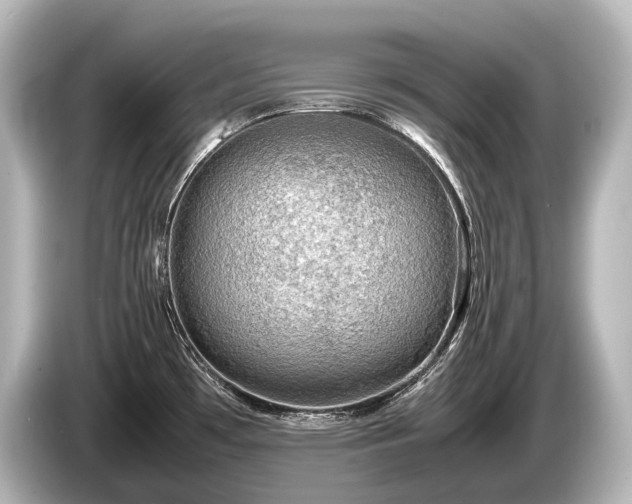 X0000085731481200703160954