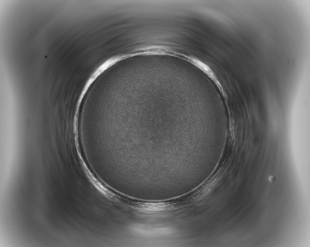 X0000085731482200703160954