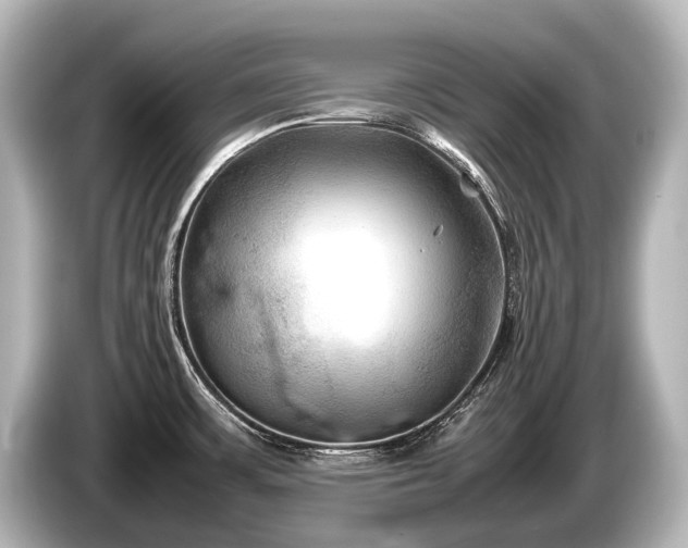 X0000085731483200703160954