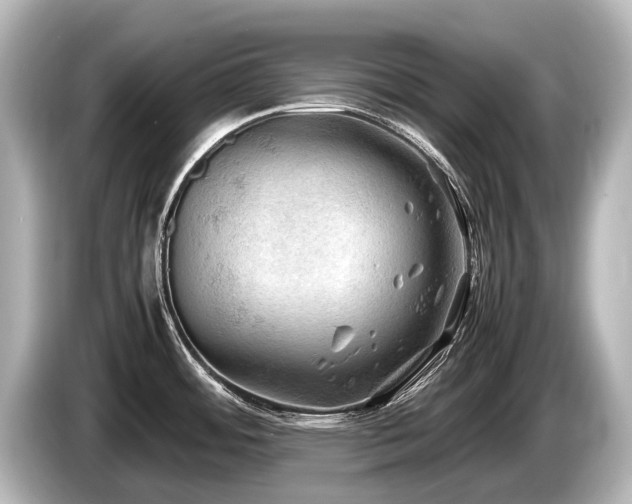 X0000085731484200703160954