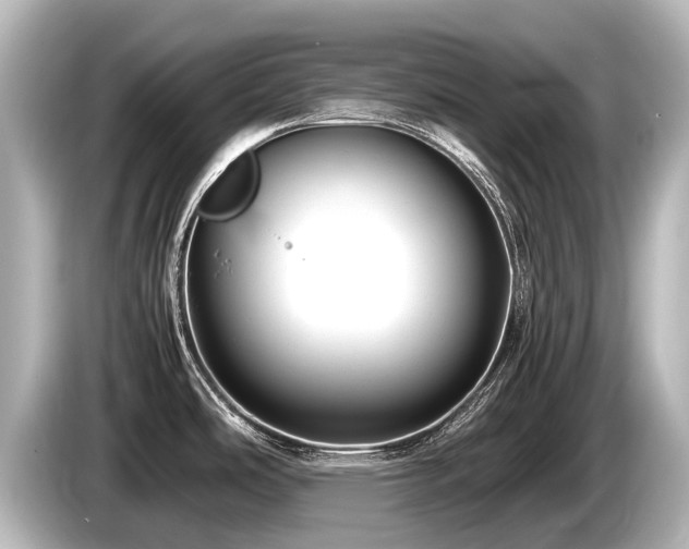 X0000085731486200703160954