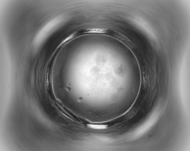 X0000085731487200703160954