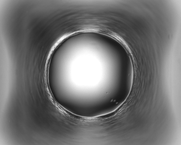 X0000085731488200703160954