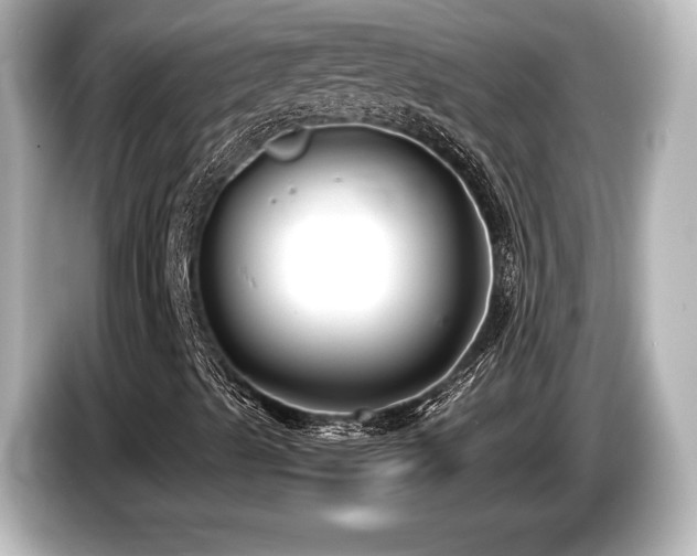 X0000085731489200703160953