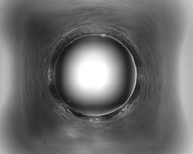 X0000085731490200703160953