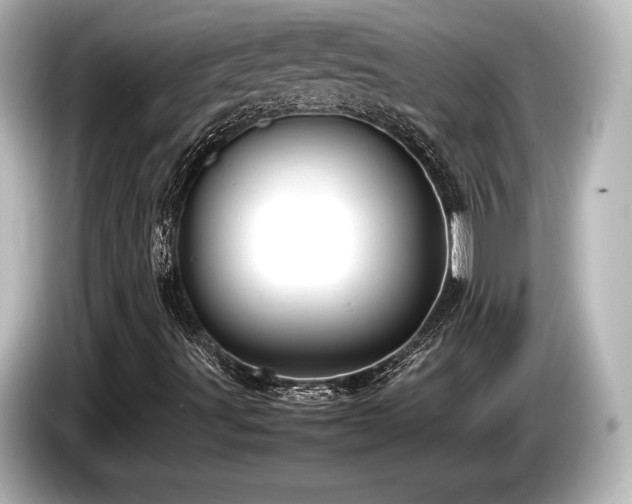 X0000085731491200703160953