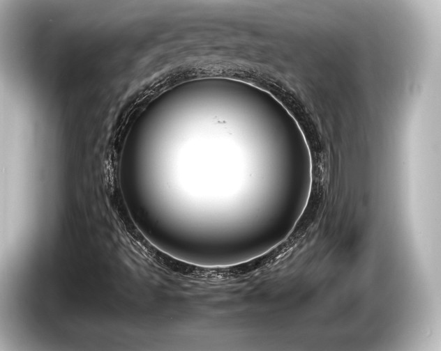 X0000085731493200703160953