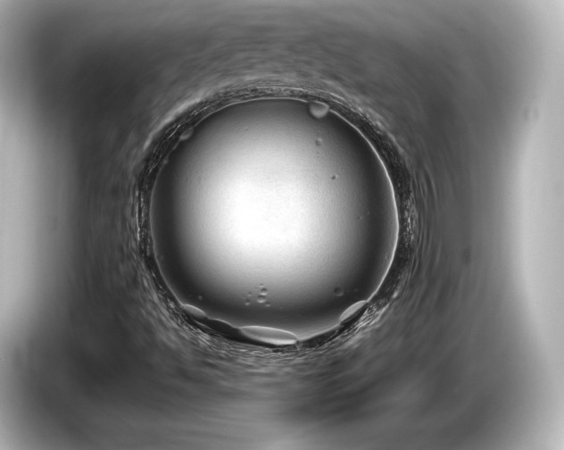 X0000085731494200703160953