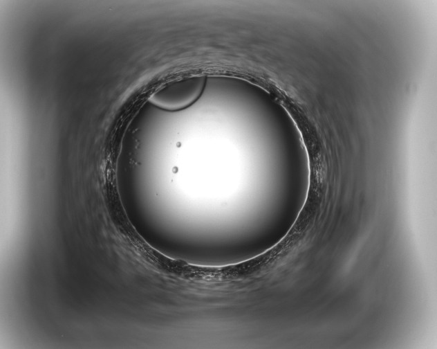 X0000085731495200703160953