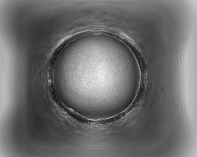 X0000085731496200703160953