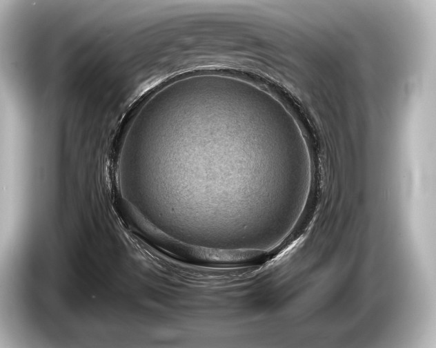 X0000085731497200703160953