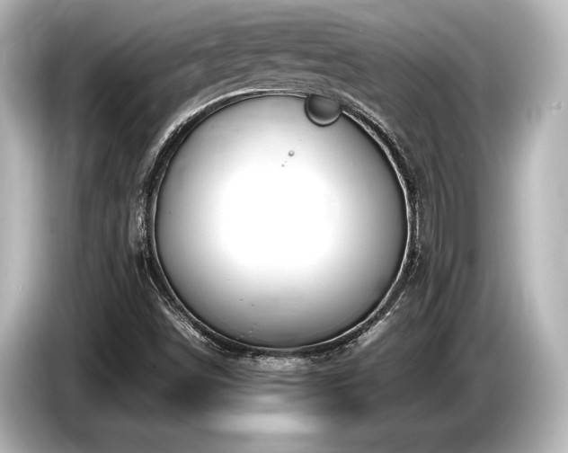 X0000085731498200703160953