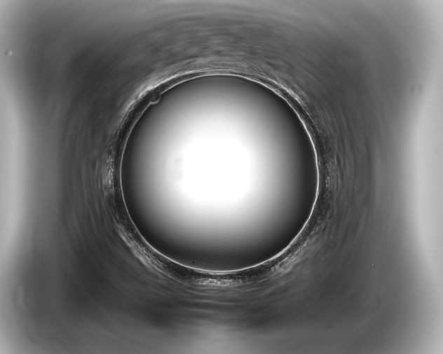 X0000085731499200703160953