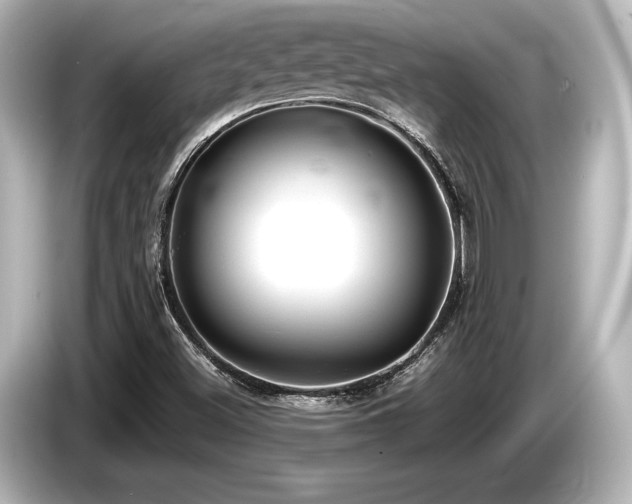 X0000085731500200703160953