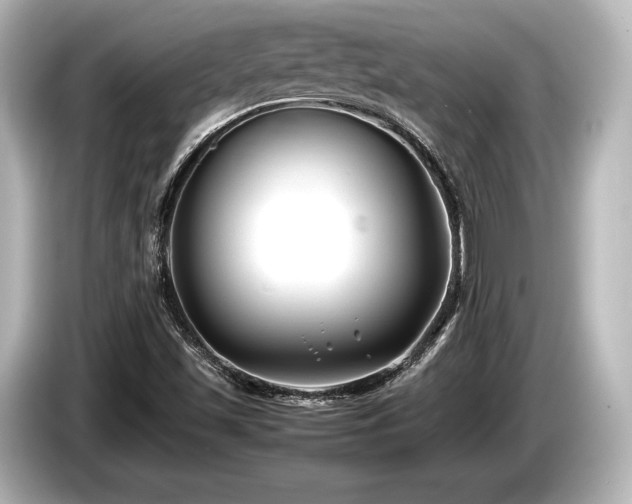 X0000085731501200703160953