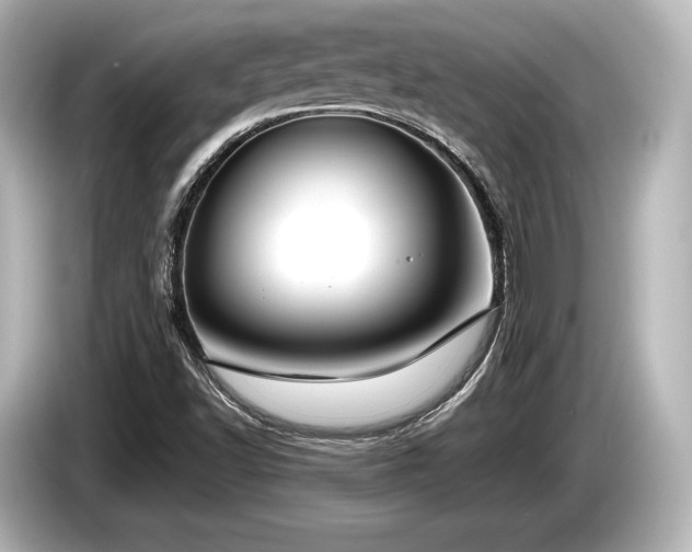 X0000085731502200703160953