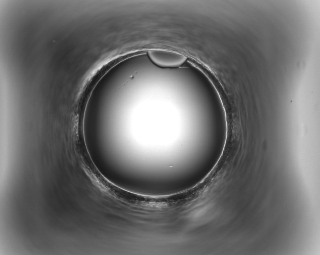 X0000085731503200703160953