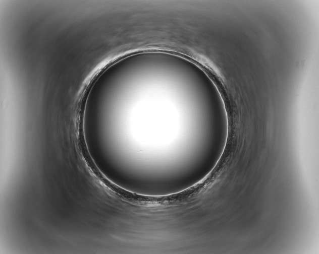 X0000085731504200703160953