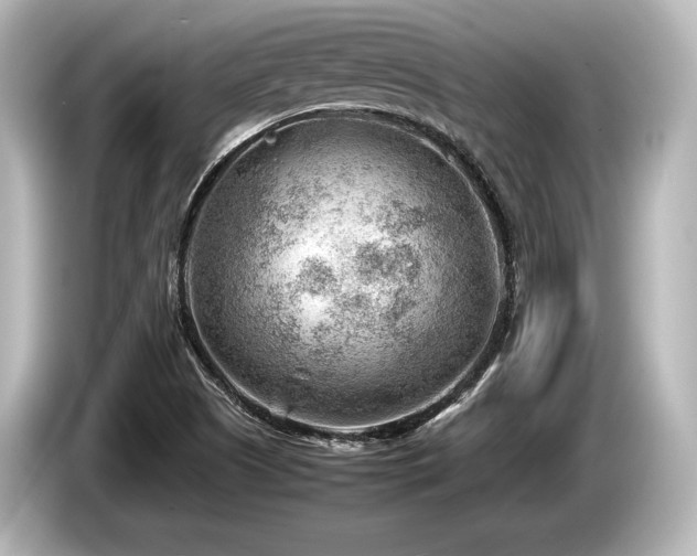 X0000085731505200703160953