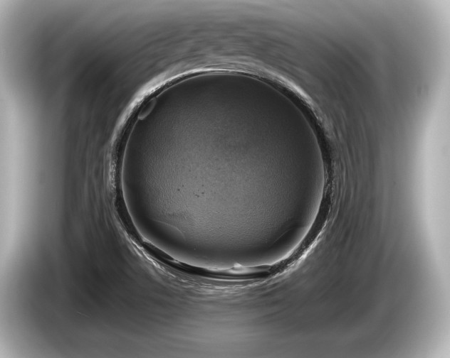 X0000085731506200703160953