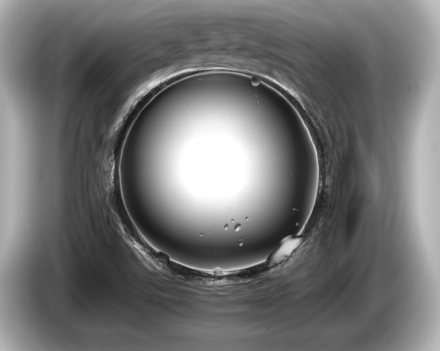 X0000085731507200703160953