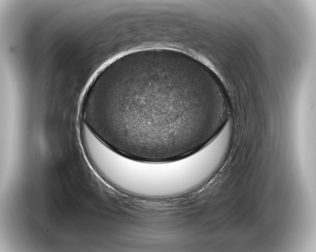 X0000085731508200703160953