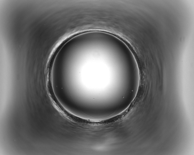 X0000085731511200703160953