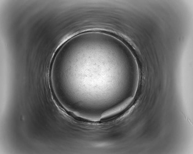 X0000085731513200703160953