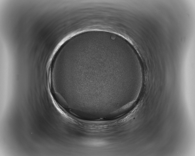 X0000085731515200703160953