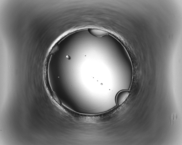 X0000085731518200703160953