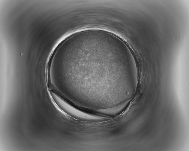 X0000085731519200703160953