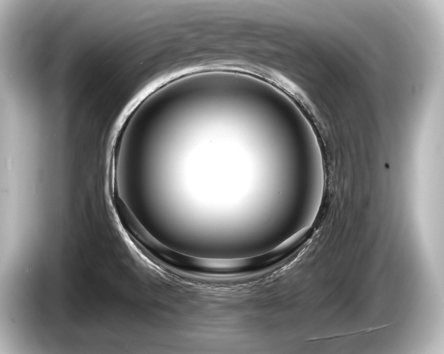 X0000085731520200703160953