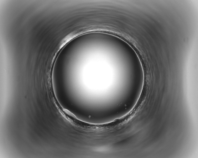 X0000085731521200703160953