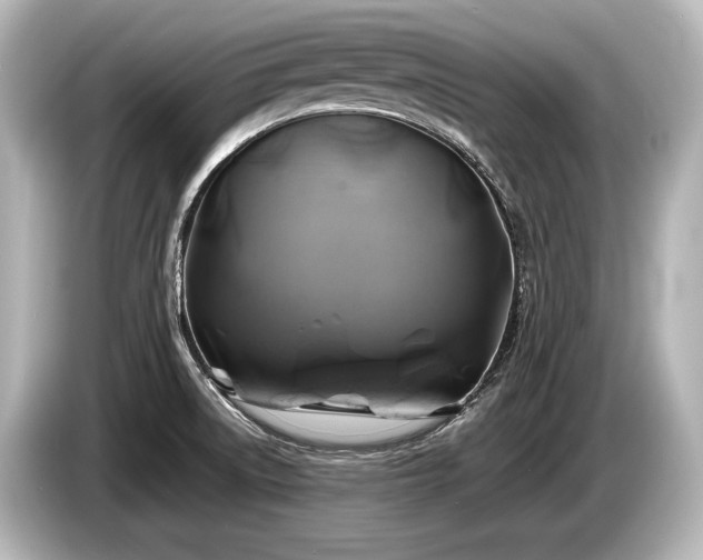 X0000085731522200703160953