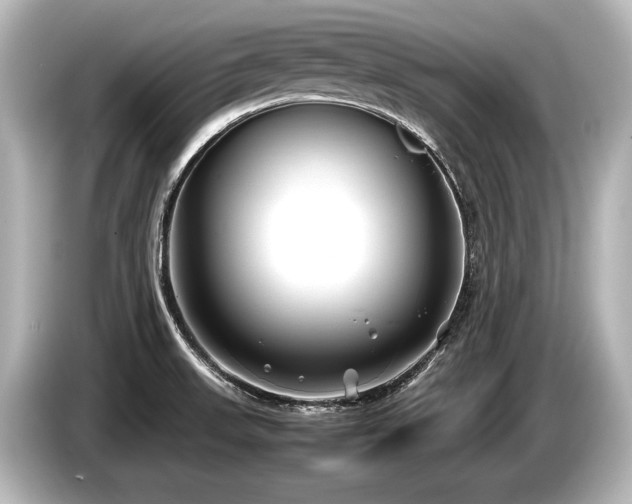 X0000085731523200703160953