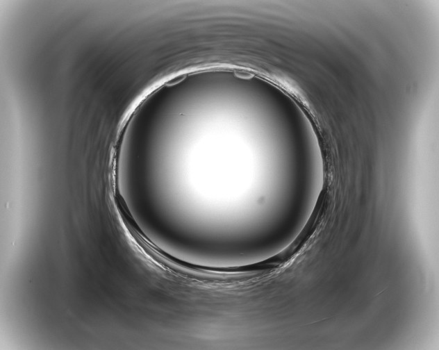 X0000085731524200703160953