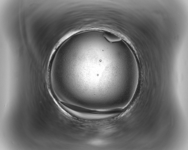 X0000085731525200703160953