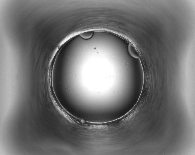 X0000085731526200703160953