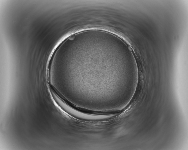 X0000085731527200703160954