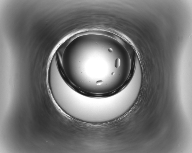 X0000085731528200703160954