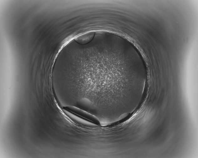 X0000085731529200703160954