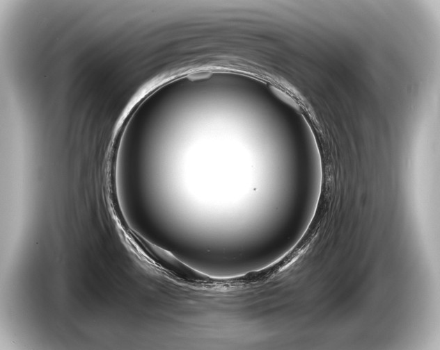 X0000085731530200703160954