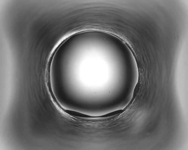 X0000085731531200703160954