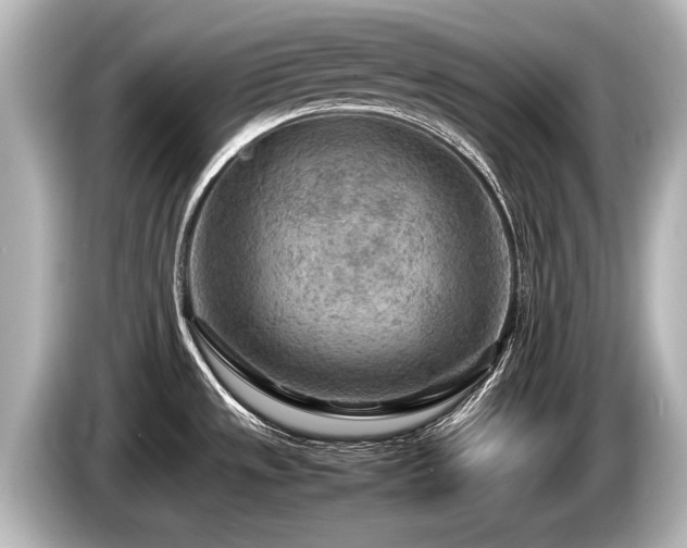 X0000085731533200703160954