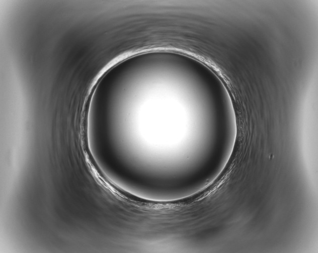 X0000085731534200703160954