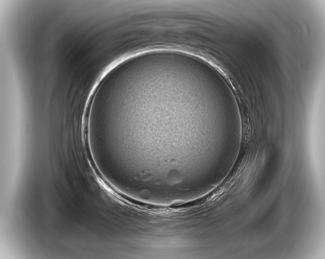 X0000085731535200703160954