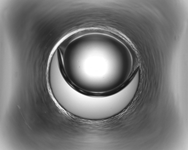 X0000085731536200703160954